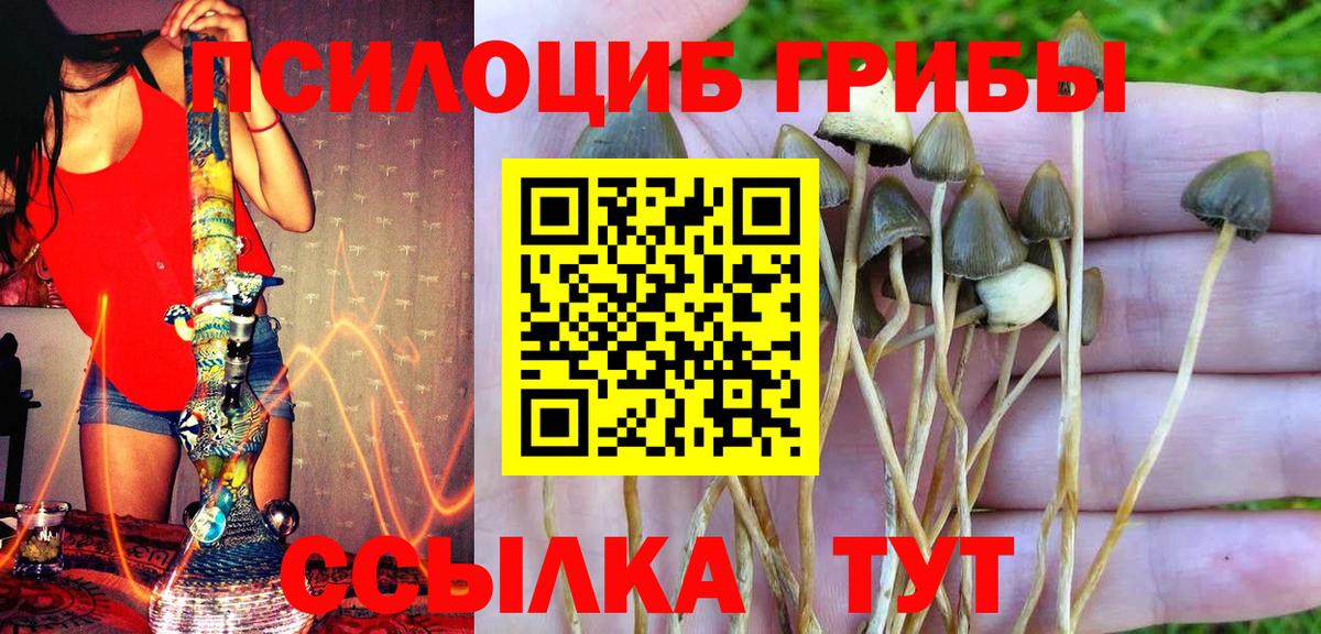 Галлюциногенные грибы мухоморы Полевской